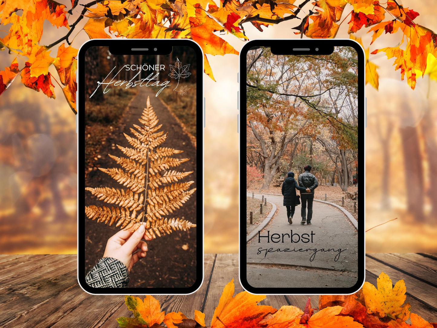 140 Instagram Story Sticker Herbst – Cozy Fall Words PNG – Kalligraphie Storysticker Set – Autumn Vibes für Insta – Jahreszeiten Bundle