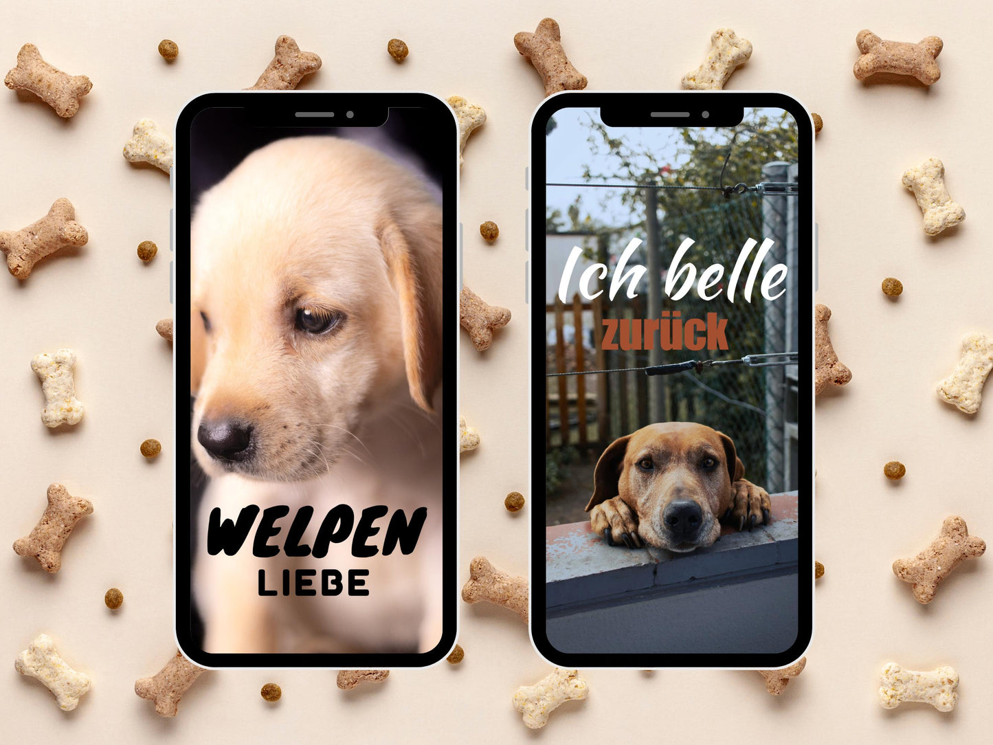 Instagram Story Sticker Hunde Bundle – 180 Daily Hunde Sticker PNG – Alltag Sprüche Illustrationen – Social Media Insta Highlight Icons Blog