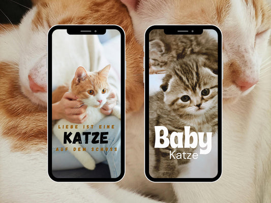 Katzen Story Sticker – 200 PNG Bundle | Daily Basic | Alltag & Haustier | Clipart | Deutsche Cat Stickers für Instagram, Reels, WhatsApp