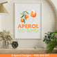 Aperol Spritz Bundle - Aperol Shirt Design png - Aperol Bar Art- Aperol Wall Decor png - Aperol Spritz Watercolor Cocktail - Aperol Poster