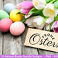 Deutsche Ostern Plotterdatei Bundle svg - Ostern Designs deutsch - Ostern Cricut Silhouette - Ostern Schriftzüge - Digistamp Frohe Ostern