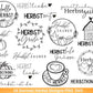 Deutsche Plotterdatei Herbst - Hallo Herbst - Cricut Silhouette Studio Plotterdatei -Herbstzauber - Herbstgrüße SVG Bundle - Kürbis Blätter