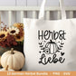 Deutsche Plotterdatei Herbst - Hallo Herbst - Cricut Silhouette Studio Plotterdatei - Herbstzauber - Herbstgrüße SVG Bundle - Kürbis Blätter - EmidaDesign