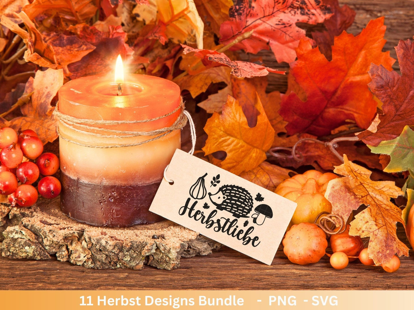 Deutsche Plotterdatei Herbst - Hallo Herbst - Cricut svg - Herbstzauber - Herbstgrüße SVG Bundle - Kürbis Blätter - Laserdatei Herbst - Igel - EmidaDesign