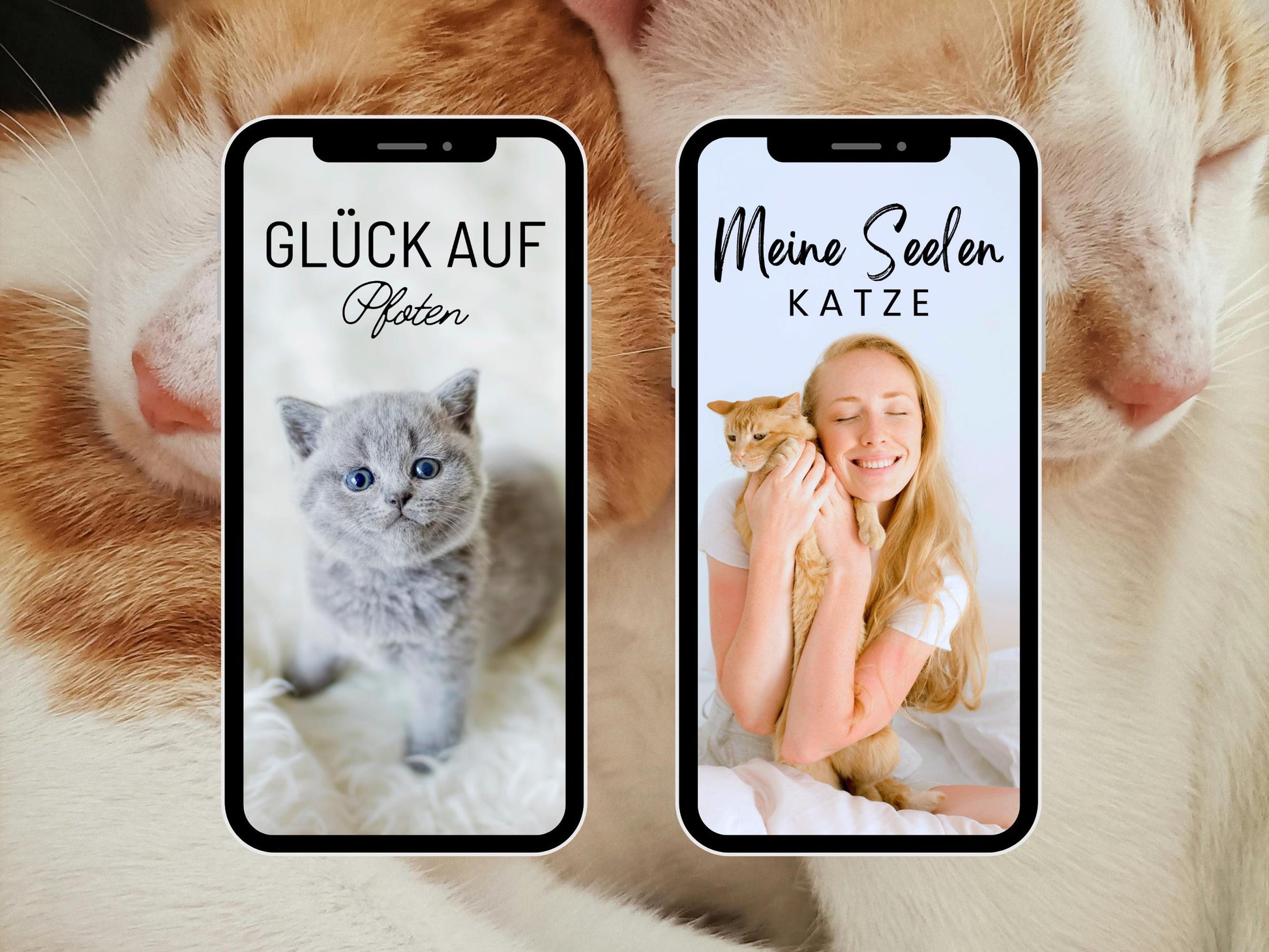 Katzen Story Sticker – 200 PNG Bundle | Daily Basic | Alltag & Haustier | Clipart | Deutsche Cat Stickers für Instagram, Reels, WhatsApp