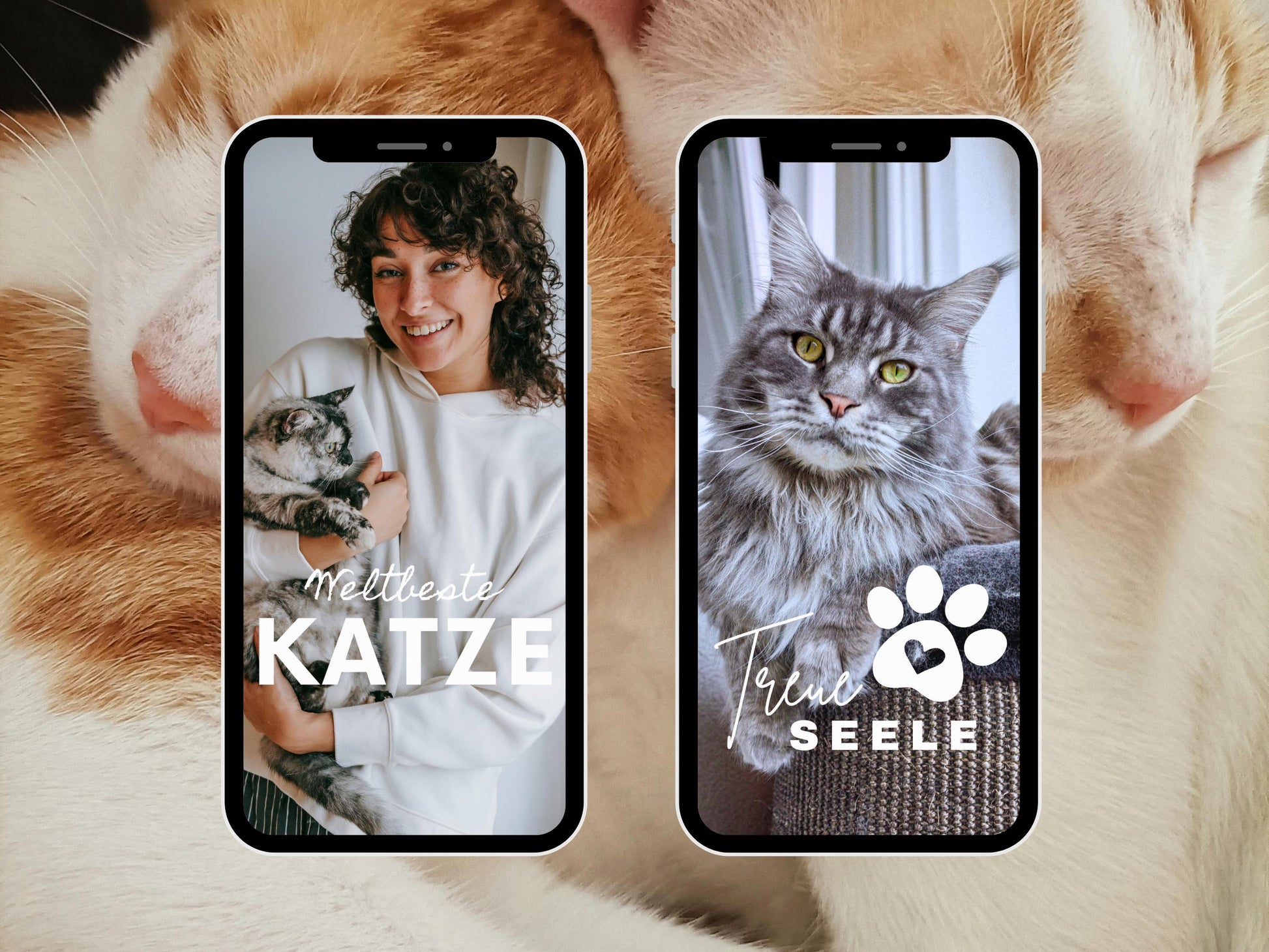 Katzen Story Sticker – 200 PNG Bundle | Daily Basic | Alltag & Haustier | Clipart | Deutsche Cat Stickers für Instagram, Reels, WhatsApp