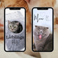 Katzen Story Sticker – 200 PNG Bundle | Daily Basic | Alltag & Haustier | Clipart | Deutsche Cat Stickers für Instagram, Reels, WhatsApp