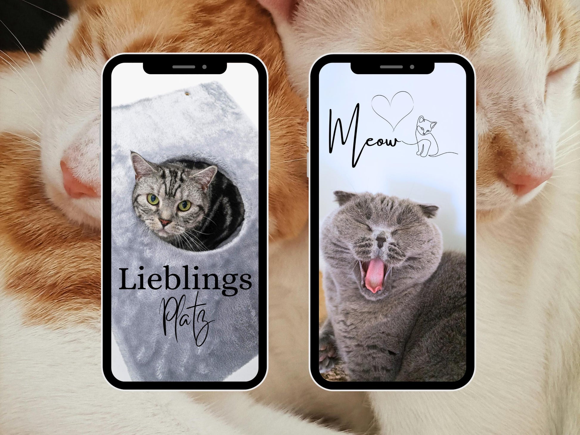 Katzen Story Sticker – 200 PNG Bundle | Daily Basic | Alltag & Haustier | Clipart | Deutsche Cat Stickers für Instagram, Reels, WhatsApp